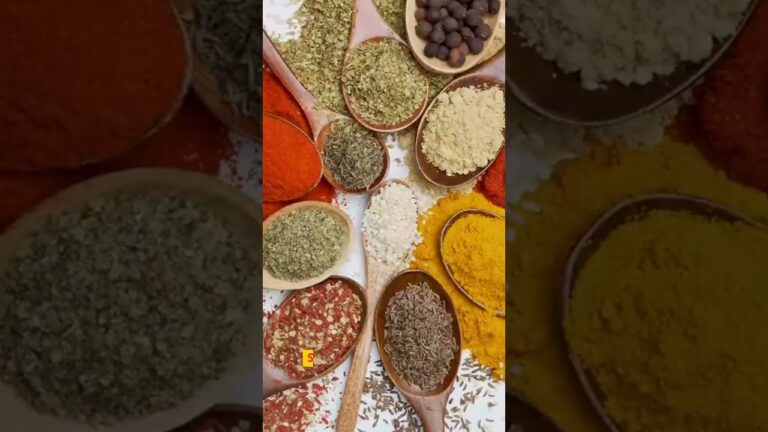 What todo in India