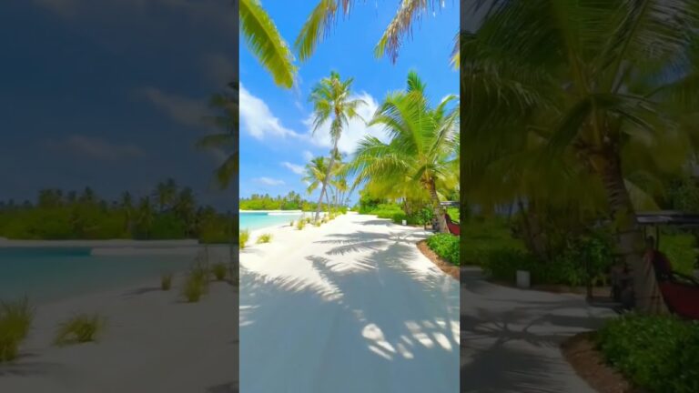Maldives #beautiful #amazing #viral #travel #explore