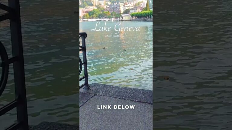 #lakegeneva #geneva #switzerlandtravelguide #swisstravel #switzerland #swissxplorers #swiss