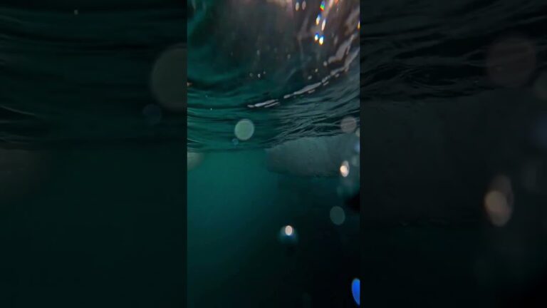 Our Ship Gliding By An Iceberg  in Greenland  | Nature Video  #nature #shorts