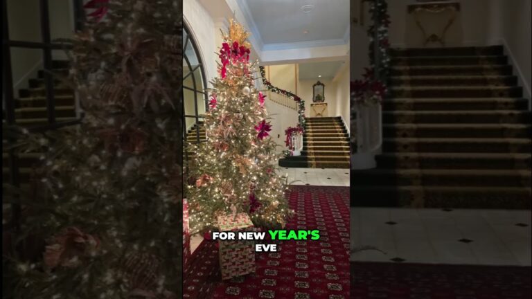 Bourbon Orleans Hotel  New Year’s Eve Review!