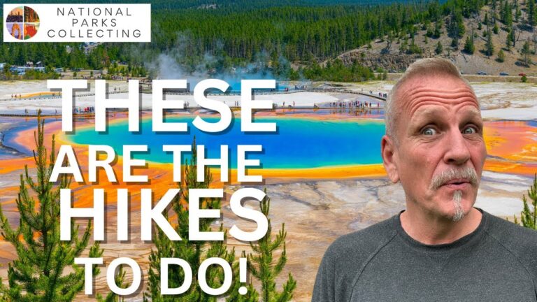 These are the 10 Best Hikes in Yellowstone National Park (Don’t Miss Them!)