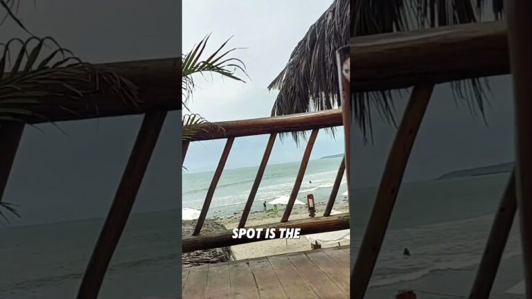 My Favourite Co-Work Cafe To surf n work in Mancora! Peru – Ocean Views!