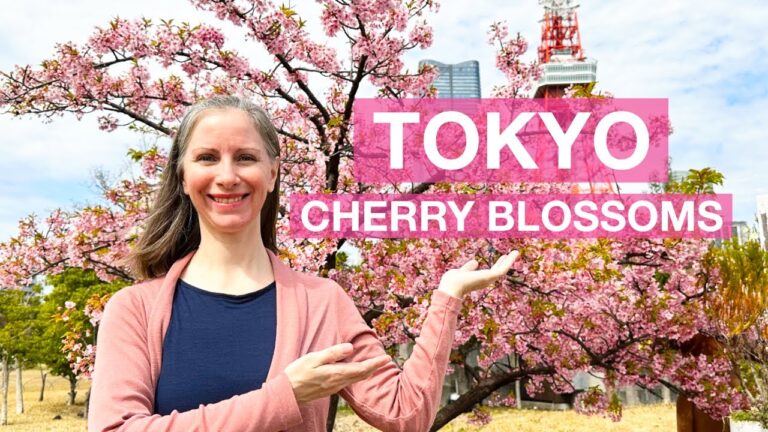 Best Tokyo Cherry Blossom Spots for Picnics & Walks, Japan Travel Guide