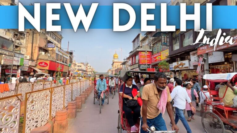 New Delhi India Travel Guide: Best Things To Do in Delhi